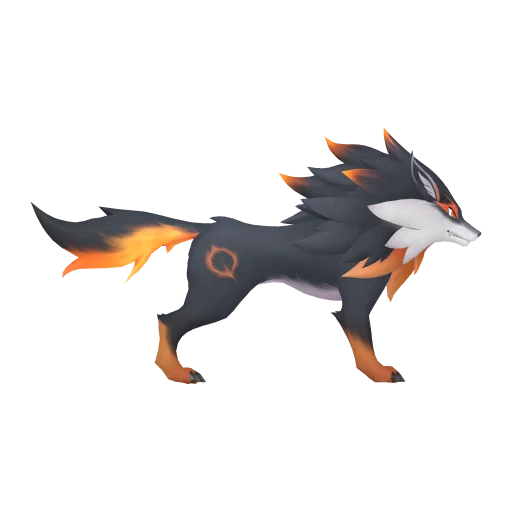 Flameruff, side view