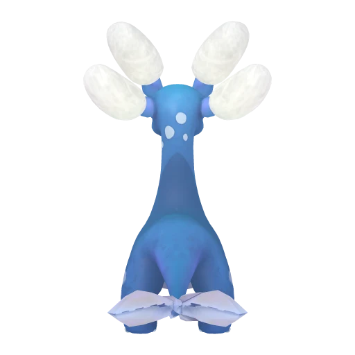Glacy, back view