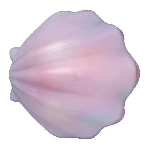 Shelly, side view